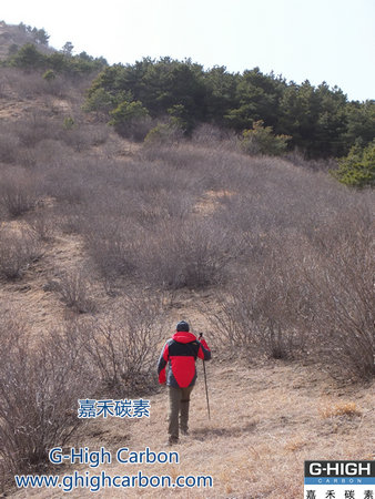 今晚奥门码开奖